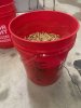 IMG_1454.jpeg