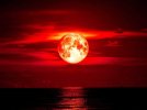 strawberry_moon-885351393.jpg