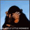 1sillylittlemonkey.gif